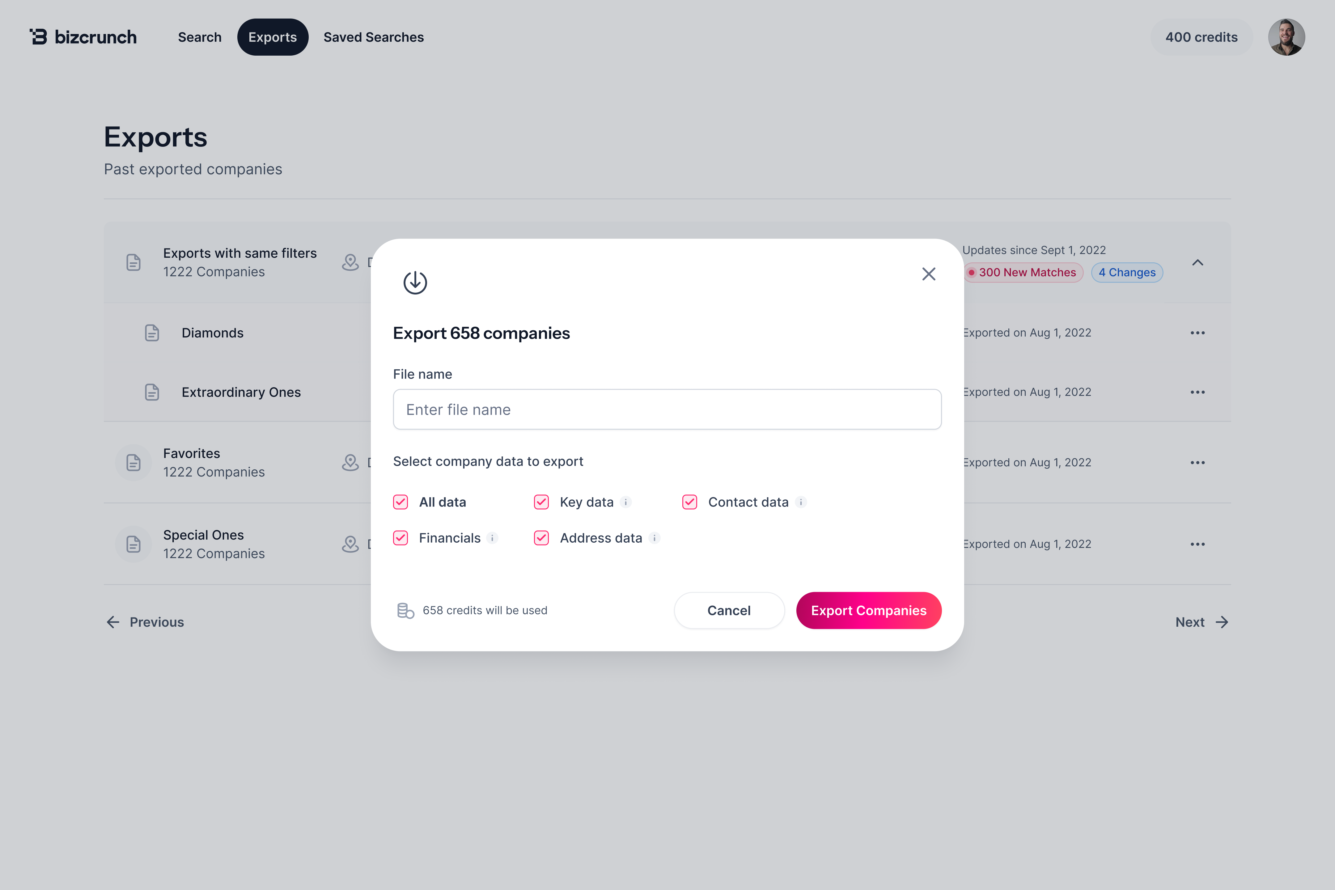 BizCrunch data export functionality